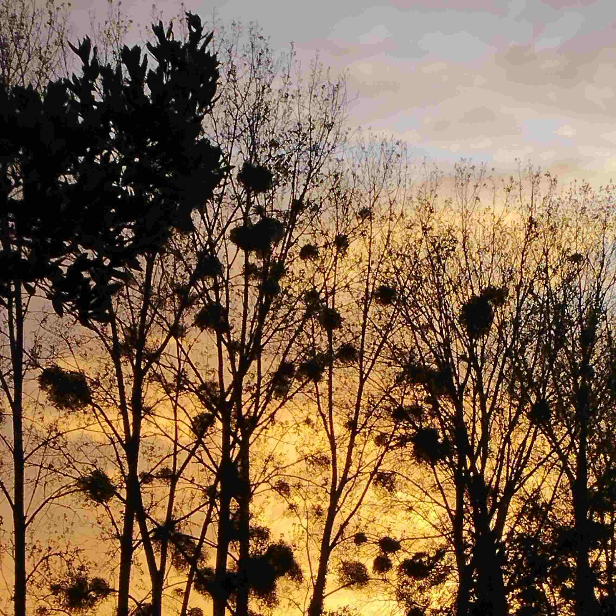 Photo de Marie CHOISY